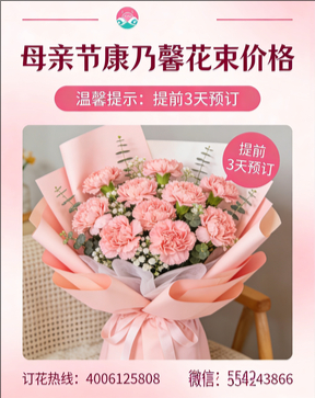 上饶婺源县花店母亲节康乃馨花束