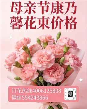 上饶婺源县花店母亲节康乃馨花束